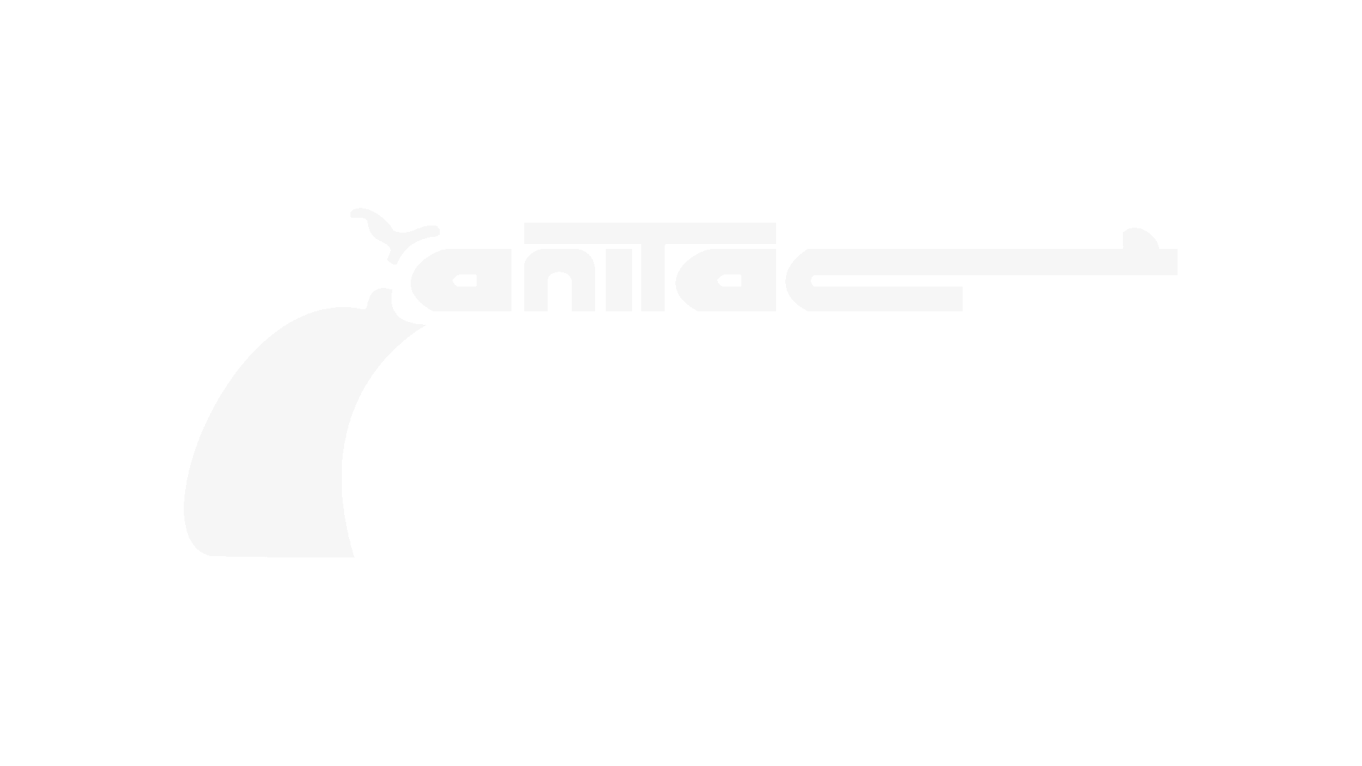 ANITAC